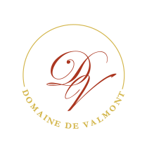 Lieu pour mariage Bordeaux - Lieu pour mariage Gironde - Domaine de Valmont